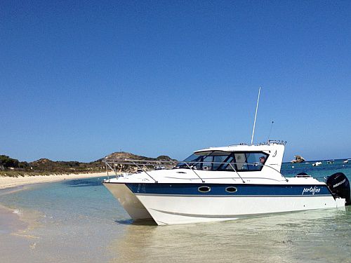 Express-Cruiser / Katamaran - 32RS - ArrowCat Marine - Außenborder / Sportfischer