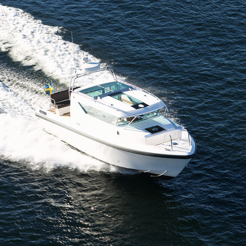 Express-Cruiser / Innenborder - 290 sw - Delta POwerboats - Hardtop / Hochleistung / 1 Kabine