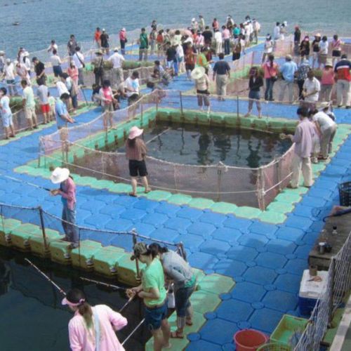 Schwimmponton - OTTO - modular / Anker / für die Fischerei