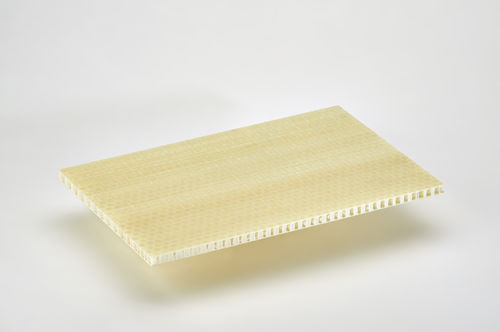 Sandwichplatte für Schiffseinrichtungen - POLISTEP - Cel Components s.r.l.  - PP-Wabenstruktur / Polypropylen / Glasfaser