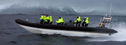 Patrouillenboot Berufsschiff - 11M HIGH PERFORMANCE - Tornado Boats - Rettungsboot / Nutzfahrzeug / Offshore-Hafenboot