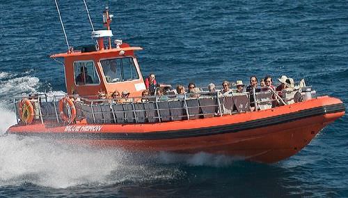 Passagierboot Berufsschiff - Zephyr - Hike Metal Products - Inboard-Hydrojet / Festrumpf-Schlauchboot