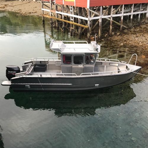 Berufsschiff / Berufsschiff für Fischerei - C 690 - MS Boat - Außenborder / Aluminium