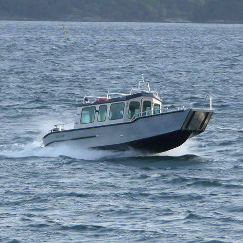 Landungsboot-Berufsschiff - C800 WT  - MS Boat - Außenborder / Aluminium