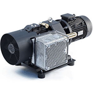 Vakuumpumpe für Schiffe - 250 S series - Bgs General Srl - für Werft / elektrisch / 12 V