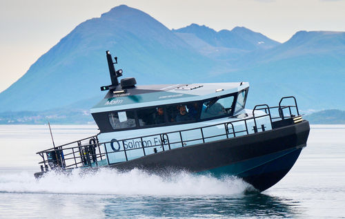 Arbeitsboot Berufsschiff - FLYING FISH 37  - HUKKELBERG BOATS - Passagierboot / Nutzfahrzeug / Crewboot