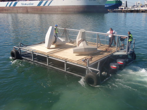 Arbeitsfrachtkahn-Berufsschiff - Tristan - Rhino Marine Products (Pty) Ltd - Außenborder