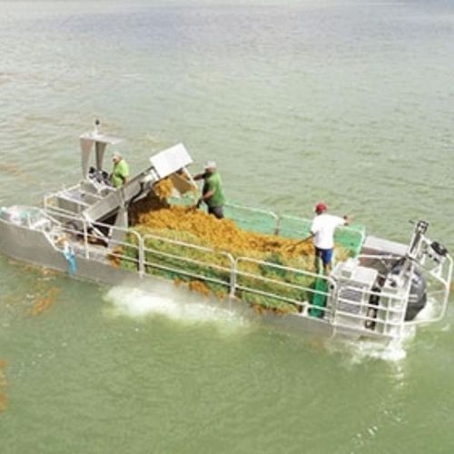 Algenernte-Boot Berufsschiff - Navalu - Außenborder / Aluminium