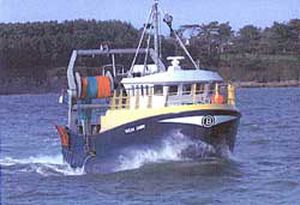 Trawler-Berufsschiff - Ocean Dawn Y44 - Arklow