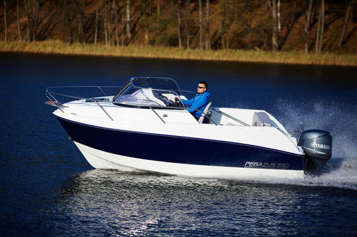 Außenborder-Daycruiser - PEGAZUS 550 - Przedsiebiorstwo Uslug Specjalistycznych ''PEGAZUS''  - Open / max. 6 Personen