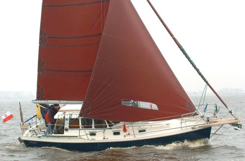 Segelboot für Kreuzfahrten - 800C4 - HABER YACHTS Sp. z o.o.  - 5 Kojen / mit geschlossenem Cockpit / Kutter