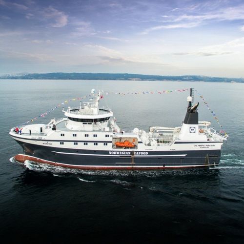 Trawler-Fischereischiff - OLYMPIC PRAWN - Cemre Shipyard