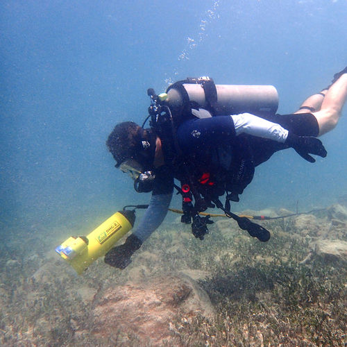Unterwasser-Videokamera - DHC-2 - JW Fishers - zur beruflichen Nutzung / Farb / tragbar