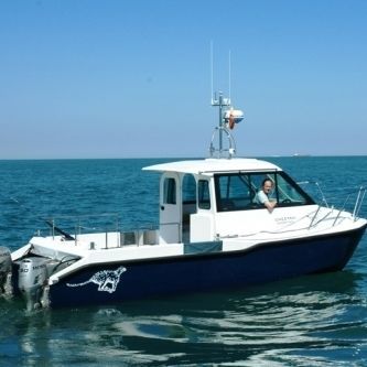 Katamaran-Daycruiser - Boblin 2 - Cheetah Marine - Außenborder / zweimotorig / mit Steuerhaus