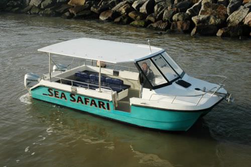 Ausflugsboot Berufsschiff - Free Spirit - Cheetah Marine - Katamaran / Außenborder