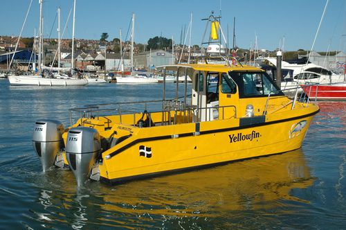 Angelboot für Tagesfahrten / Katamaran - Cheetah Marine - Außenborder / zweimotorig / mit geschlossenem Cockpit