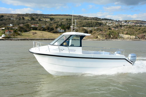 Angelboot für Tagesfahrten / Katamaran - Cheetah Marine - Außenborder / zweimotorig / mit Steuerhaus