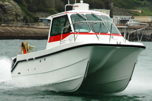 Patrouillenboot Berufsschiff - Saila Vie - Cheetah Marine - Katamaran / Außenborder