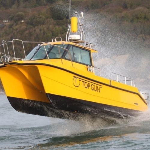Cabin-Cruiser / Katamaran - Top Gun - Cheetah Marine - Außenborder / zweimotorig / Hardtop