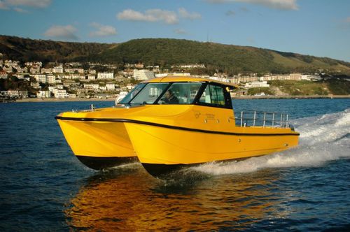 Angelboot für Tagesfahrten / Katamaran - Spindrift Three - Cheetah Marine - Außenborder / zweimotorig / Hardtop