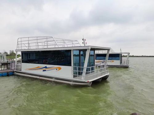Katamaran-Hausboot - Changzhou Youbang Boat Co., Ltd. - Außenborder / elektrisch / LPG