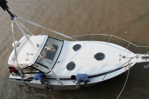 Berufsschiff / Berufsschiff für Fischerei - YB-315 - Changzhou Youbang Boat Co., Ltd. - Sternantrieb / Glasfaser