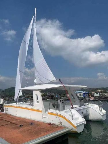 Ausflugsboot Berufsschiff - Changzhou Youbang Boat Co., Ltd. - Katamaran / Außenborder