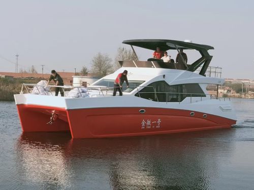 Cabin-Cruiser / Katamaran - YB-1280 - Changzhou Youbang Boat Co., Ltd. - Außenborder / zweimotorig / max. 25 Personen