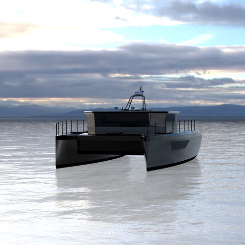 Express-Cruiser / Katamaran - 38 - Etkin Marin - Innenborder / zweimotorig / Hardtop