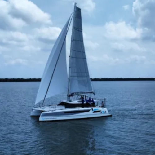 Katamaran - Max 45SC - Max Cruise Marine - für Kreuzfahrten / 4 Kabinen / Bugspriet