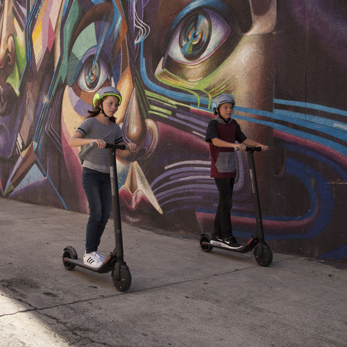 Klappbarer Scooter - KickScooter ES1 - SEGWAY - elektrisch