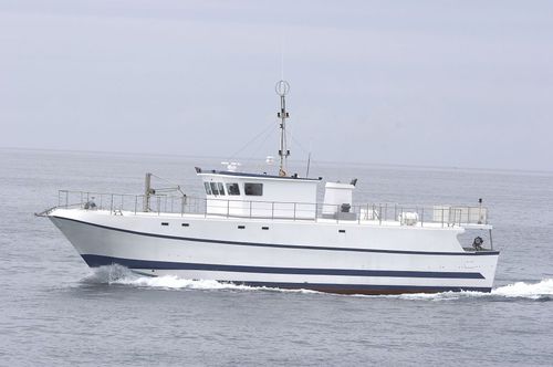 Langleinenfischer-Fischereischiff - 3500 - 2500 SL - ARESA SHIPYARD