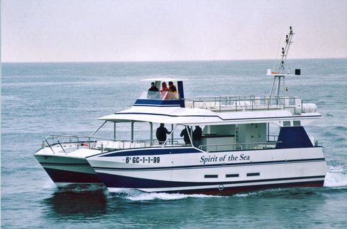 Ausflugsboot Berufsschiff - SPIRIT OF THE SEA  - Drassanes Dalmau, S.A - Katamaran / Innenborder