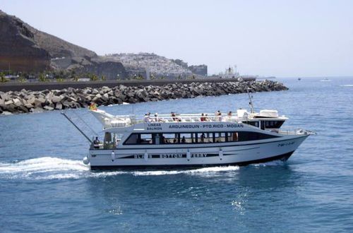 Ausflugsboot Berufsschiff - SALMON ONCE - Drassanes Dalmau, S.A - Innenborder