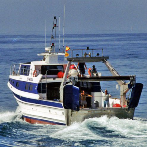 Trawler-Berufsschiff - ES NIELL - Drassanes Dalmau, S.A - Innenborder