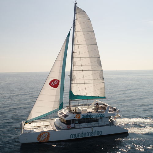Passagierboot Berufsschiff - MUNDO MARINO ECO - Drassanes Dalmau, S.A - Katamaran / Diesel/Elektro-Hybrid / für Personen mit eingeschränkter Mobilität