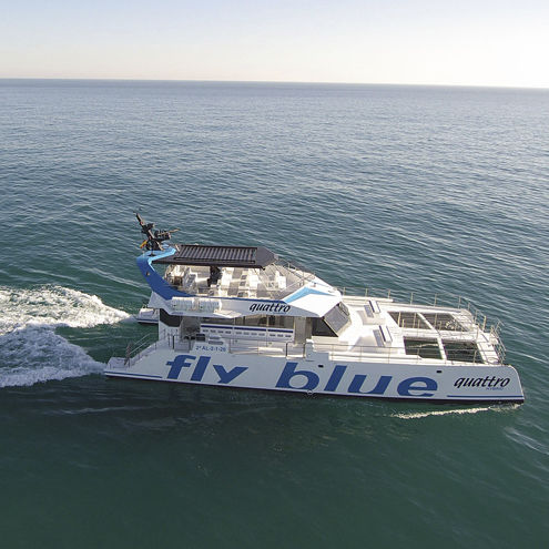 Ausflugsboot Berufsschiff - FLY BLUE QUATTRO - Drassanes Dalmau, S.A - Katamaran / Innenborder