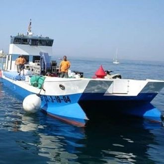Arbeitsboot Berufsschiff - SEMAC 25 - Drassanes Dalmau, S.A - Hafenservice-Boot / Katamaran / Innenborder