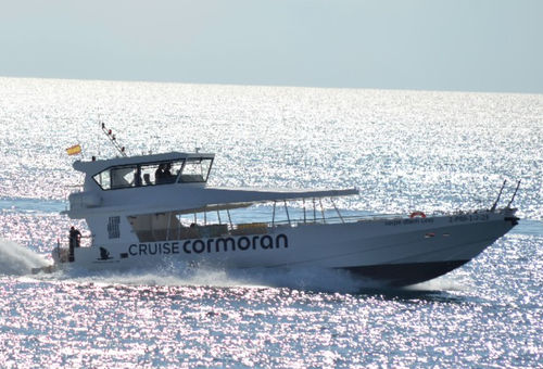 Passagierboot Berufsschiff - CARPE DIEM UNO - Drassanes Dalmau, S.A
