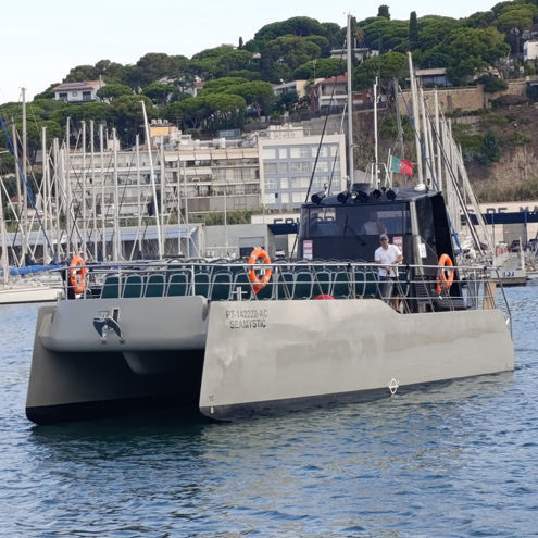 Passagierboot Berufsschiff - SEAMYSTIC - Drassanes Dalmau, S.A - Katamaran / Innenborder
