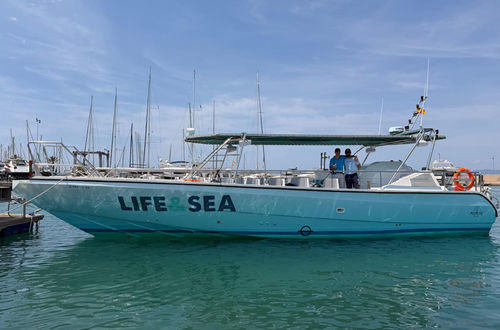 Passagierboot Berufsschiff - POPEYE LIFEANDSEA - Drassanes Dalmau, S.A - Innenborder / Verbundwerkstoff
