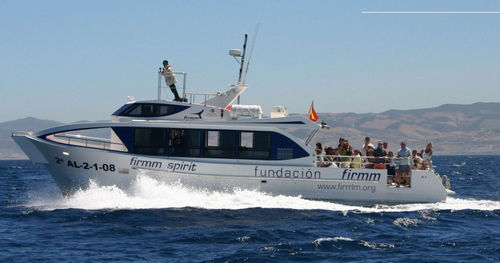Ausflugsboot Berufsschiff - FIRMM SPIRIT  - Drassanes Dalmau, S.A - Innenborder