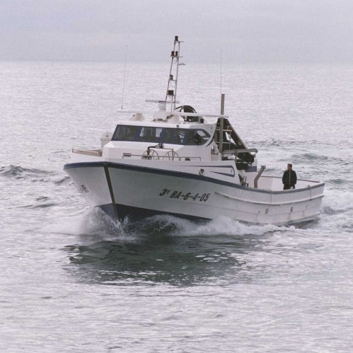 Sardinenfischerboot - HERMANOS CERVILLA - Drassanes Dalmau, S.A - Innenborder