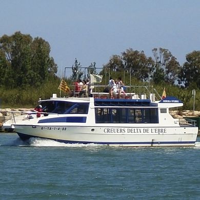 Ausflugsboot Berufsschiff - RIBERA D'EBRE  - Drassanes Dalmau, S.A - Innenborder