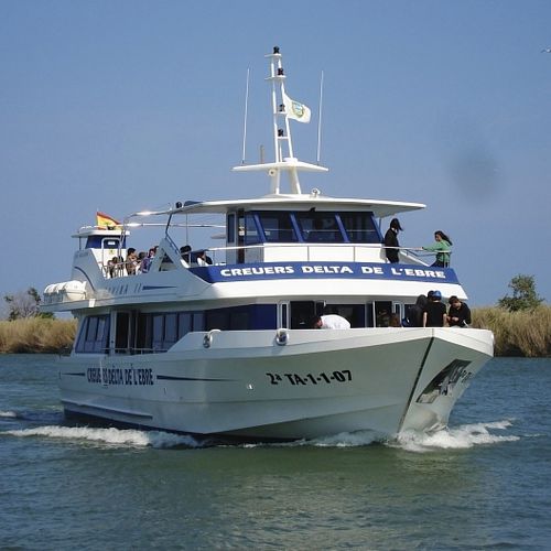 Ausflugsboot Berufsschiff - RIU MIGJORN   - Drassanes Dalmau, S.A - Innenborder