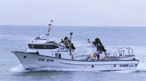 Berufsschiff für Fischerei / Thunfischfänger - EL DJAZAIR  - Drassanes Dalmau, S.A