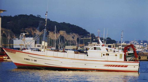 Sardinenfischerboot Berufsschiff - MOLINA - Drassanes Dalmau, S.A - Innenborder