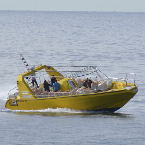 Tourismusboot Berufsschiff - BIOSFERA JET - Drassanes Dalmau, S.A - Inboard-Hydrojet