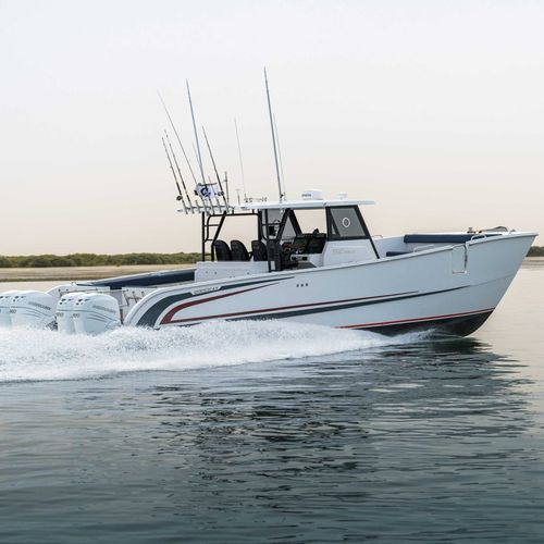 Express-Cruiser / Katamaran - SilverCat 40CC​ - SMART OWN - Außenborder / viermotorig / Hardtop
