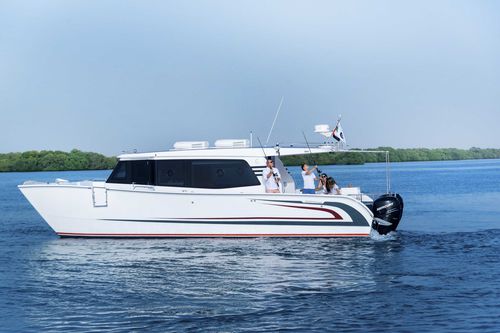 Express-Cruiser / Katamaran - SilverCat 40LUX​ - SMART OWN - Außenborder / zweimotorig / Hardtop